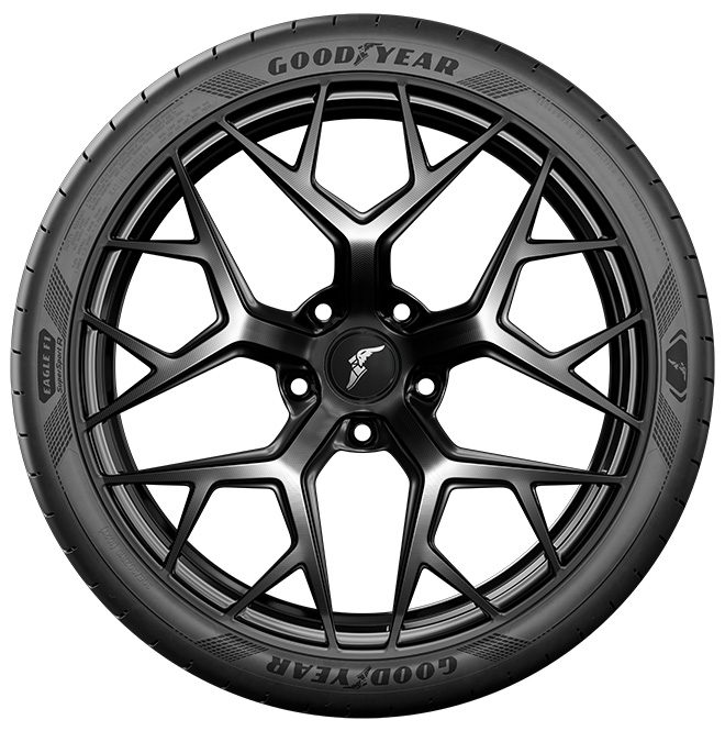 EAGLE F1 SUPERSPORT R - Pneus été Tire - 305/30/R19/102Y