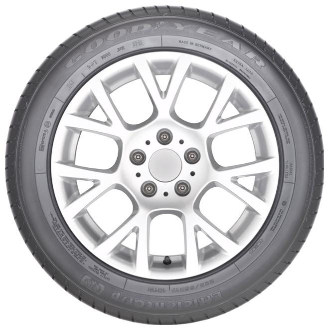 EFFICIENTGRIP - Pneus été Tire - 195/65/R15/95H