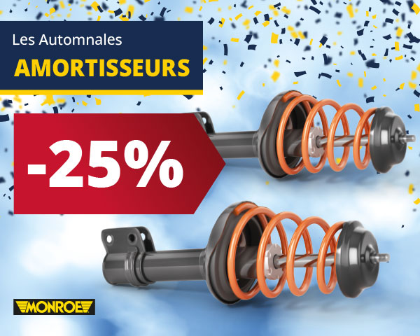 25% de remise immédiate